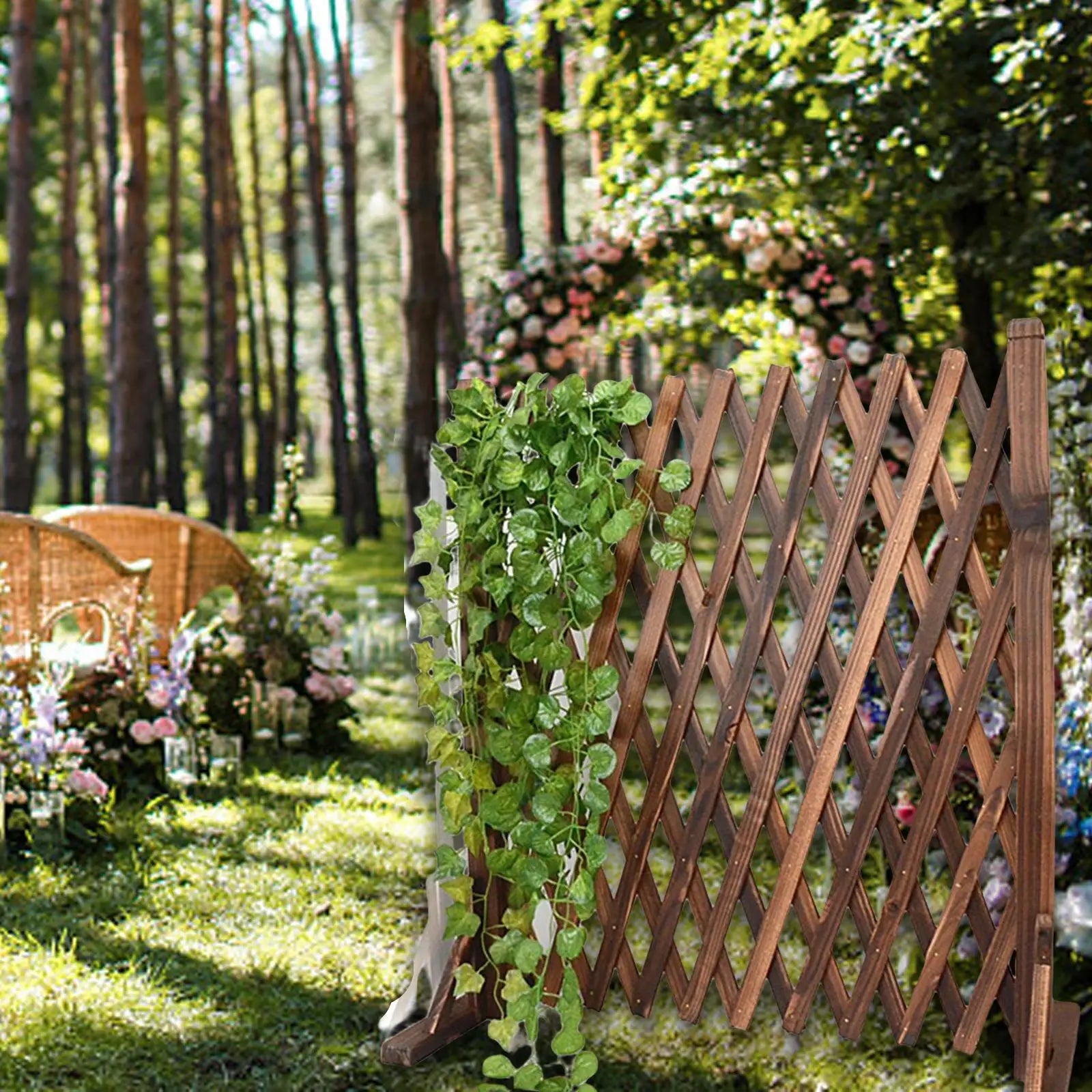 Expandable Wood Fence Photo Background Extendable Trellis Lattice Zpaxo