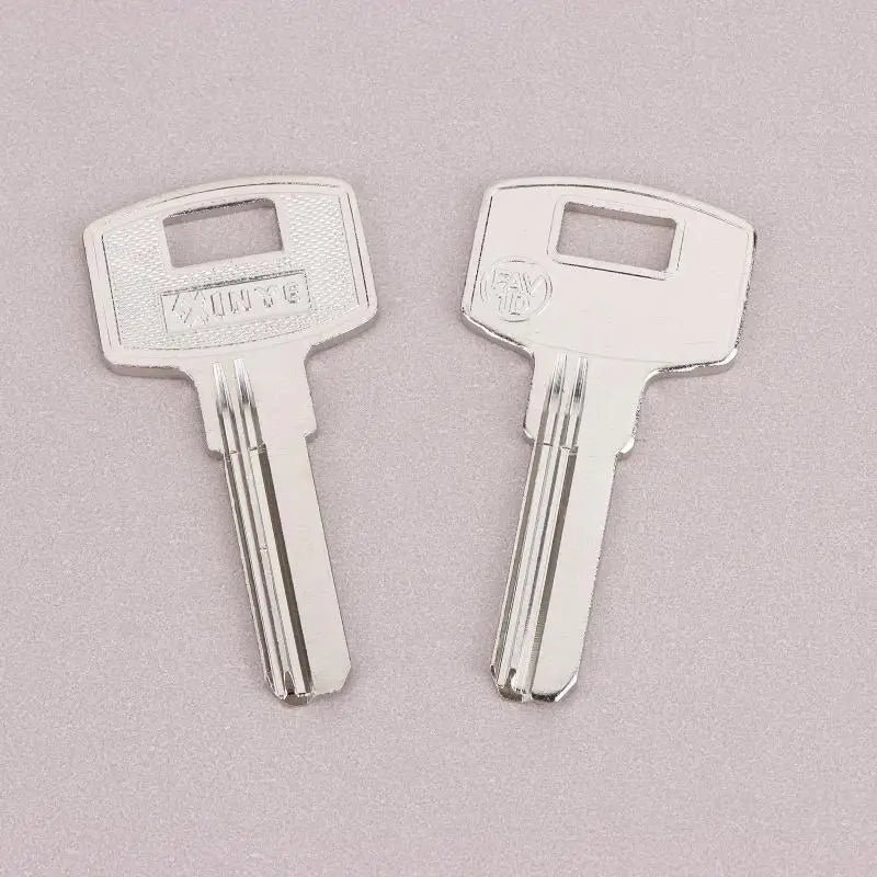 LOT Commonly Used Key Blank FAV1D Baili Double Slot Material Zpaxo