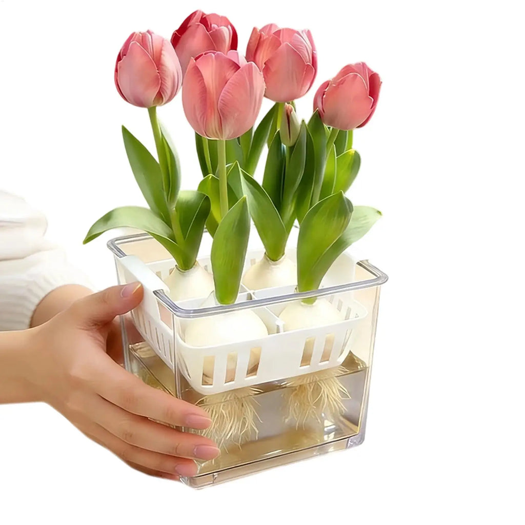 4 Grids Hydroponics Nurserys Pots Planter Containers Clear Tulips Planter Plastic Square Planting Basket Indoor Gardening Zpaxo
