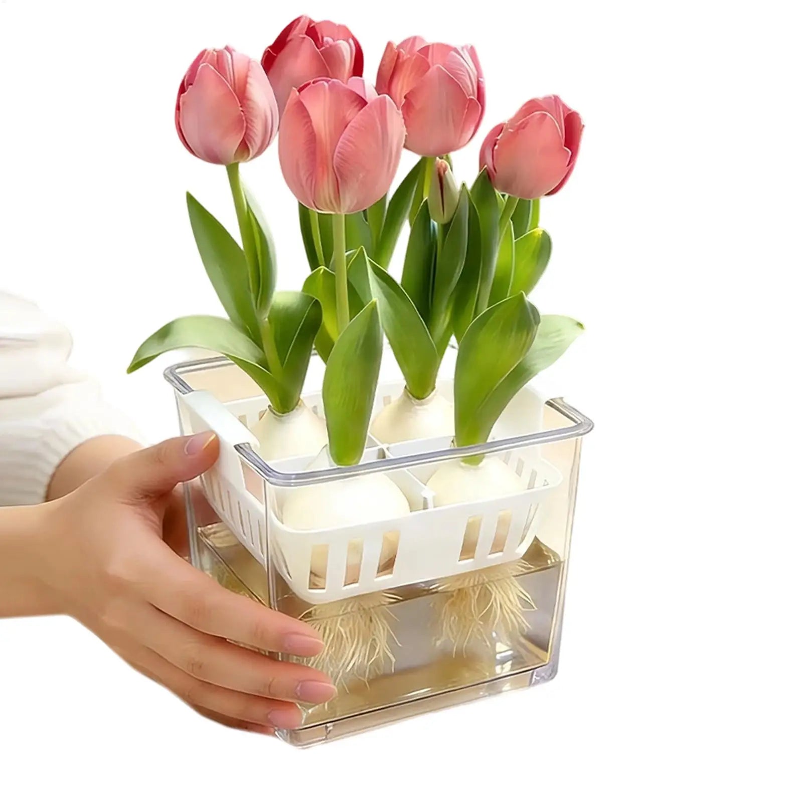 4 Grids Hydroponics Nurserys Pots Planter Containers Clear Tulips Planter Plastic Square Planting Basket Indoor Gardening Zpaxo