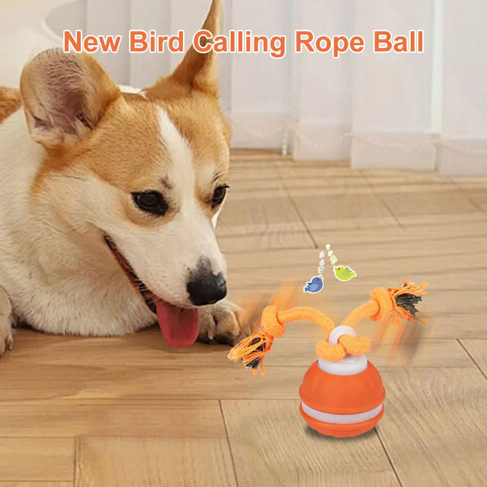 Smart Dog Toy Ball Electronic Interactive Pet Moving Rope USB 3 Modes