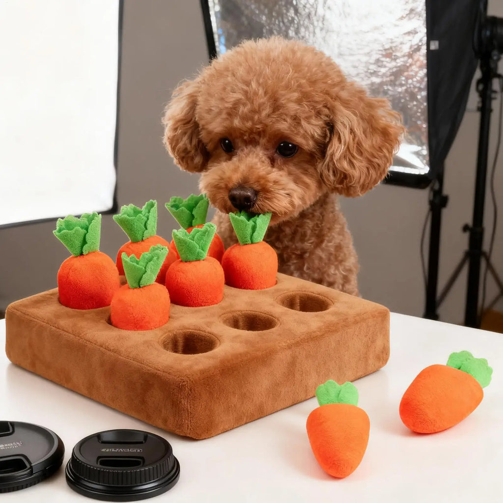 Dog Snuffle Mat Enrichment Interactive Feeder Puzzle Toy Puppy Pet