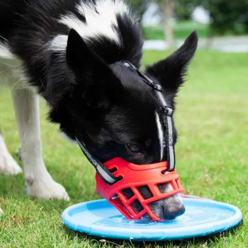 Pet Reflective Breathable Basket Muzzle Guard Against Biting And Barking Medium And Large Dog Mask Anti-barking Muzzle For Pets Zpaxo