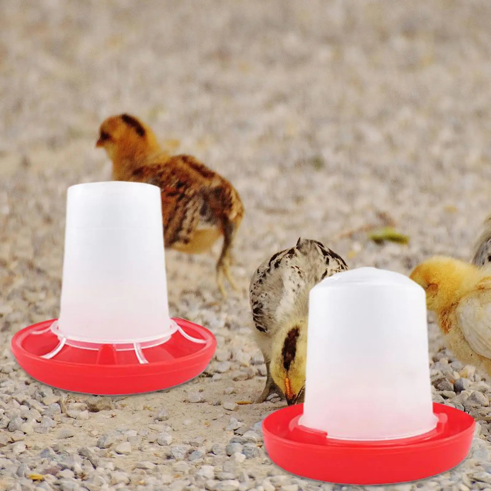 Chick Feeder Waterer Plastic Rotary Sleeve Design Automatic Feeding