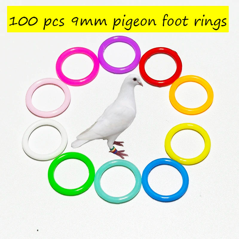 Mixed Colors Pigeon Bird Foot Rings Identification Quails Pigeons