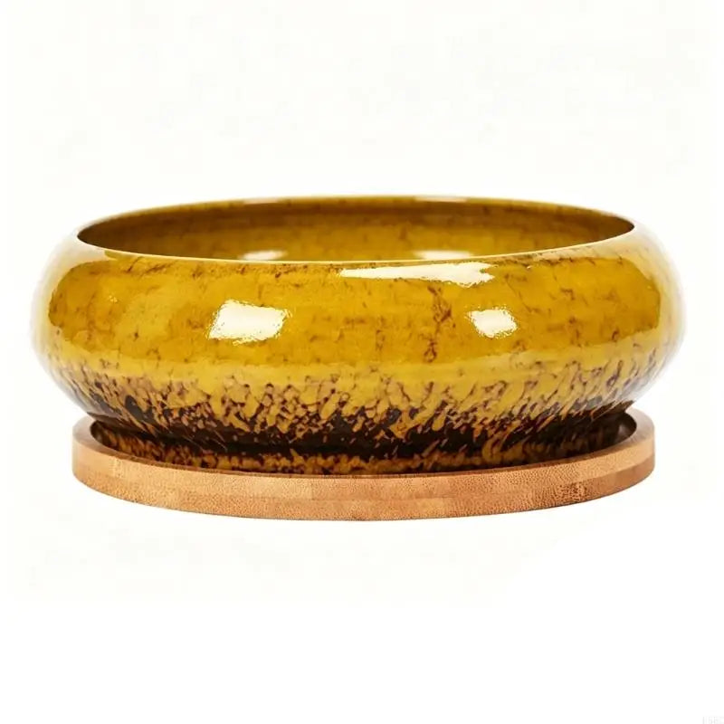 Succulents Bowl Planter Water Planting Container Ceramic Leakproof Spacious Bowl Planter For Indoor Outdoor Succulents Zpaxo Yellow CN NOHOLE1