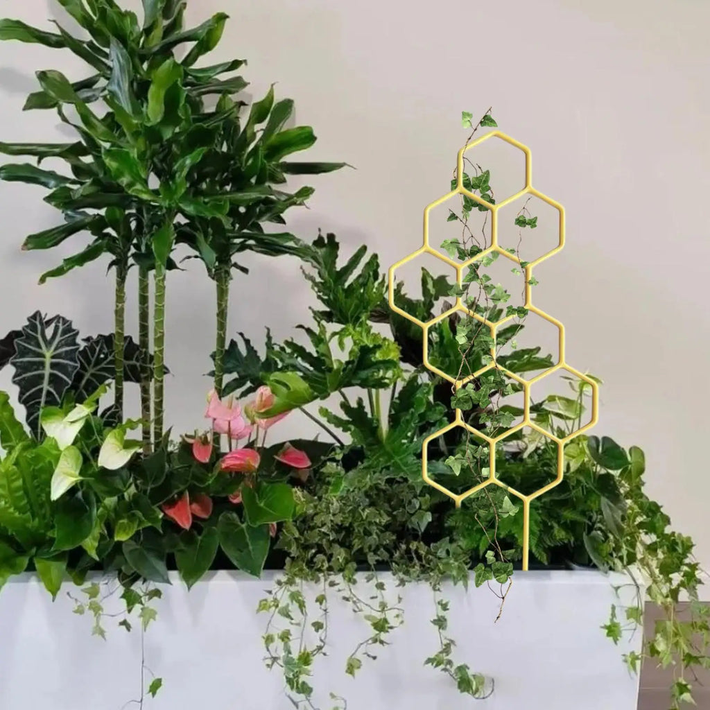 Rustproof Plastic Plant Trellis for Climbing Vines & Flowers Plant Climbing Trellis Zpaxo