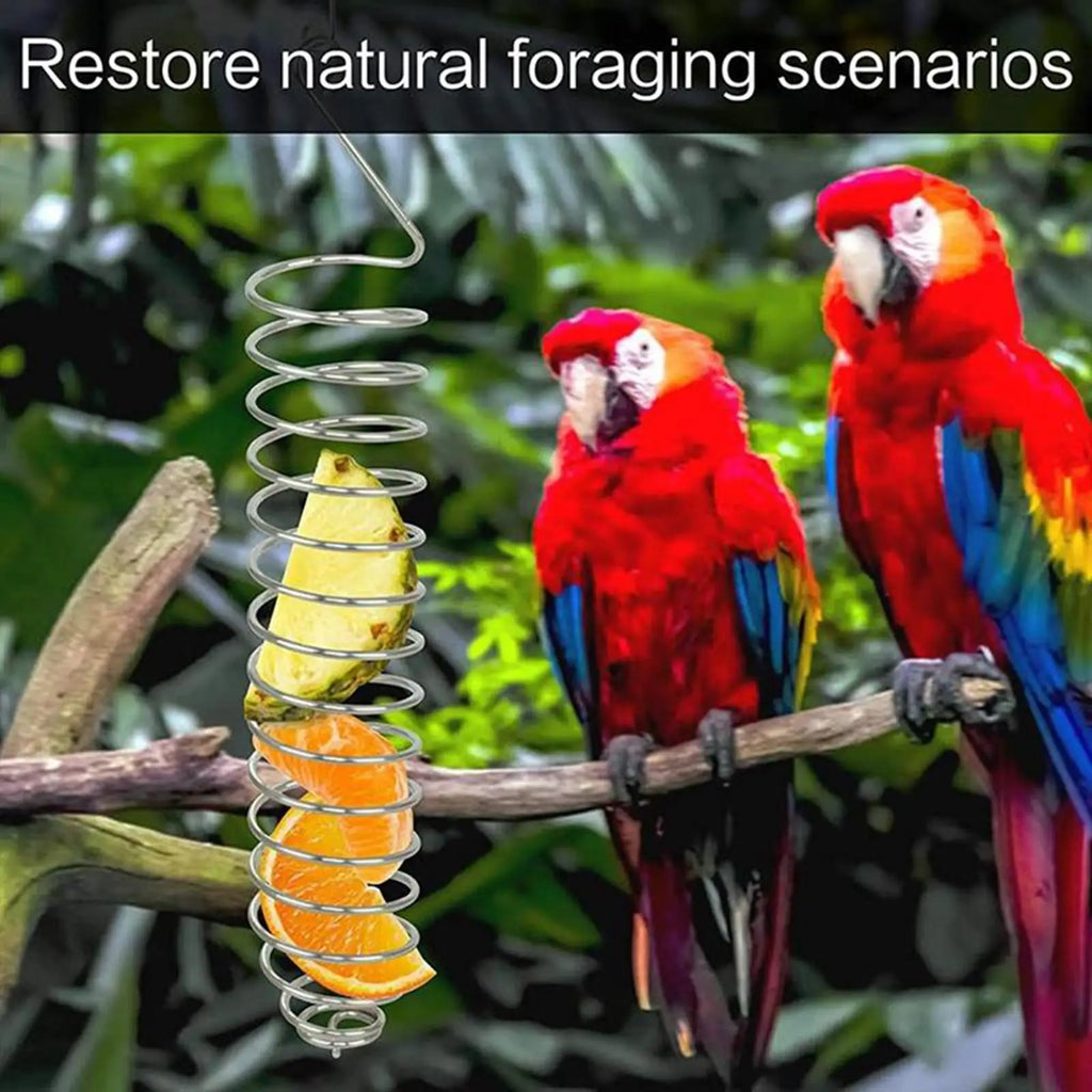 Spiral Parrots Foraging Toys Bird Fruit Feeding Tool Bird Food Basket Bird Food Holder for Grain Fruit Birdcage Pet Accessories Zpaxo