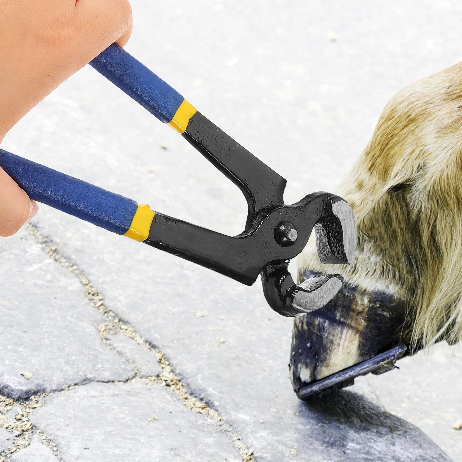 Horse Hoof Trimmer Exquisite Metal Workmanship Lightweight Portable
