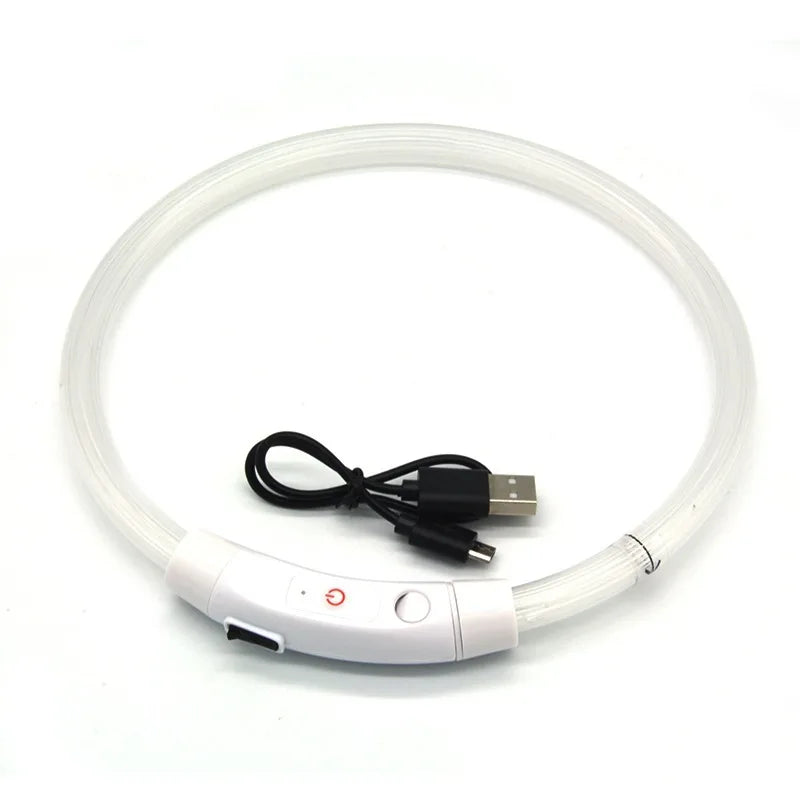 Pet Dog LED Light Collar Luminous Anti-lost USB Charging Necklace Zpaxo White XS（old）