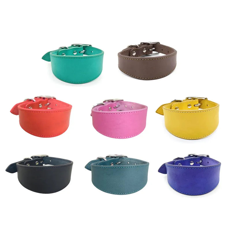 Collar Whippet Leather Soft Suede Pedded Wide Collars Lurcher and Italian Greyhound Saluki Sighthound Dog Supplies Zpaxo