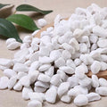 White Decorative Stones 100/200g – Aquarium, Vase & Garden Decorative Stones Zpaxo 100G