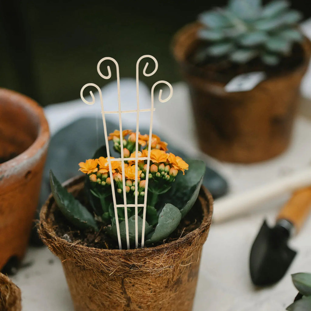 4Pcs Decorative Metal Garden Trellis Climbing Plant Support Indoor Small Plant Rack for Vines Garden Planting Rack Zpaxo