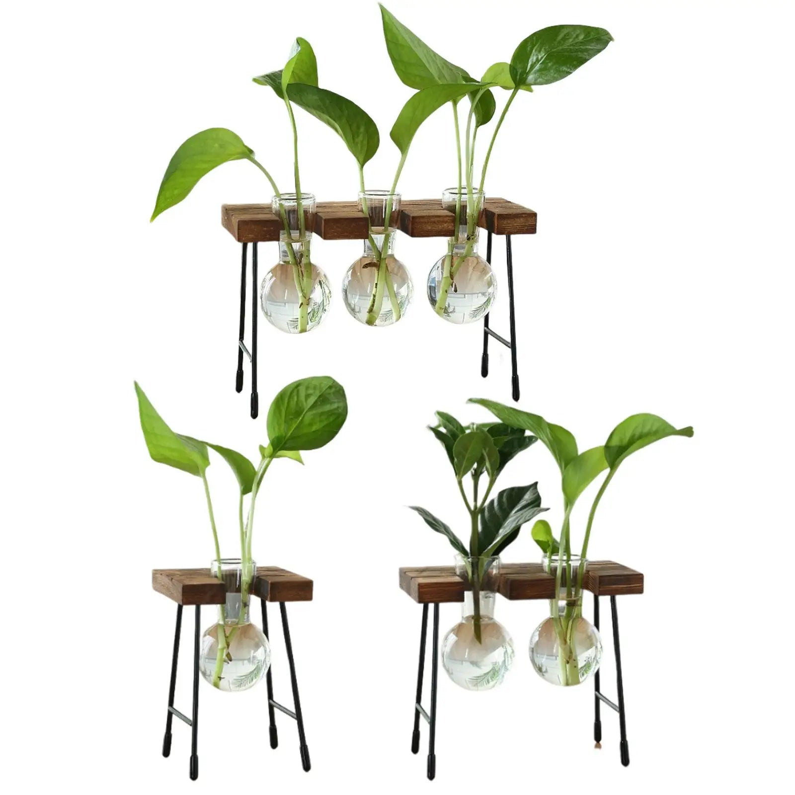 Hydroponic Glass Bud Vase with Wooden Stand | Tabletop Planter Glass Bud Vase Zpaxo