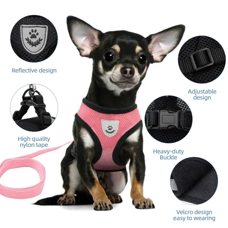 Cat Harness Vest Walking Lead Leash For Puppy Dogs Collar Polyester Adjustable Mesh Dog Harness For Small Medium Pet Accessories Zpaxo