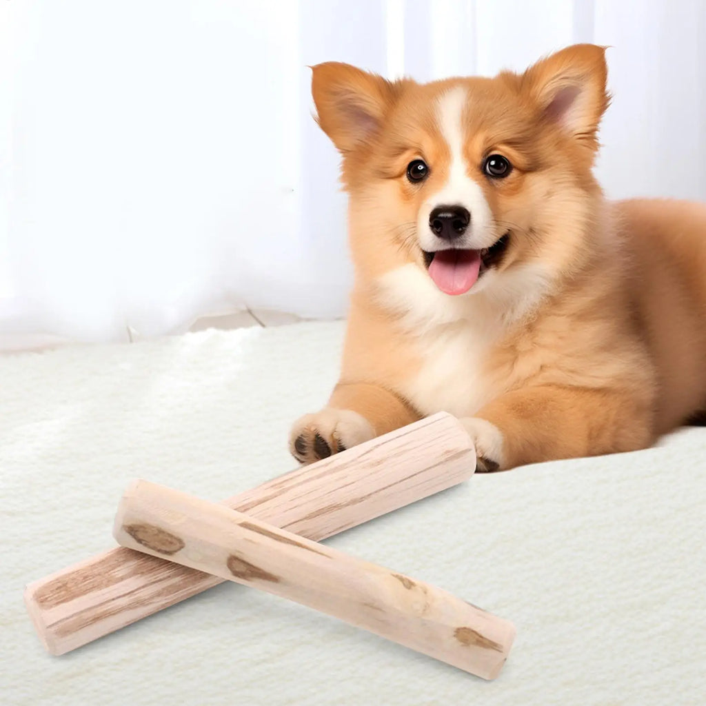 Dog Chew Toys Aggressive Chewers Natural Coffee Wood Stick Dental