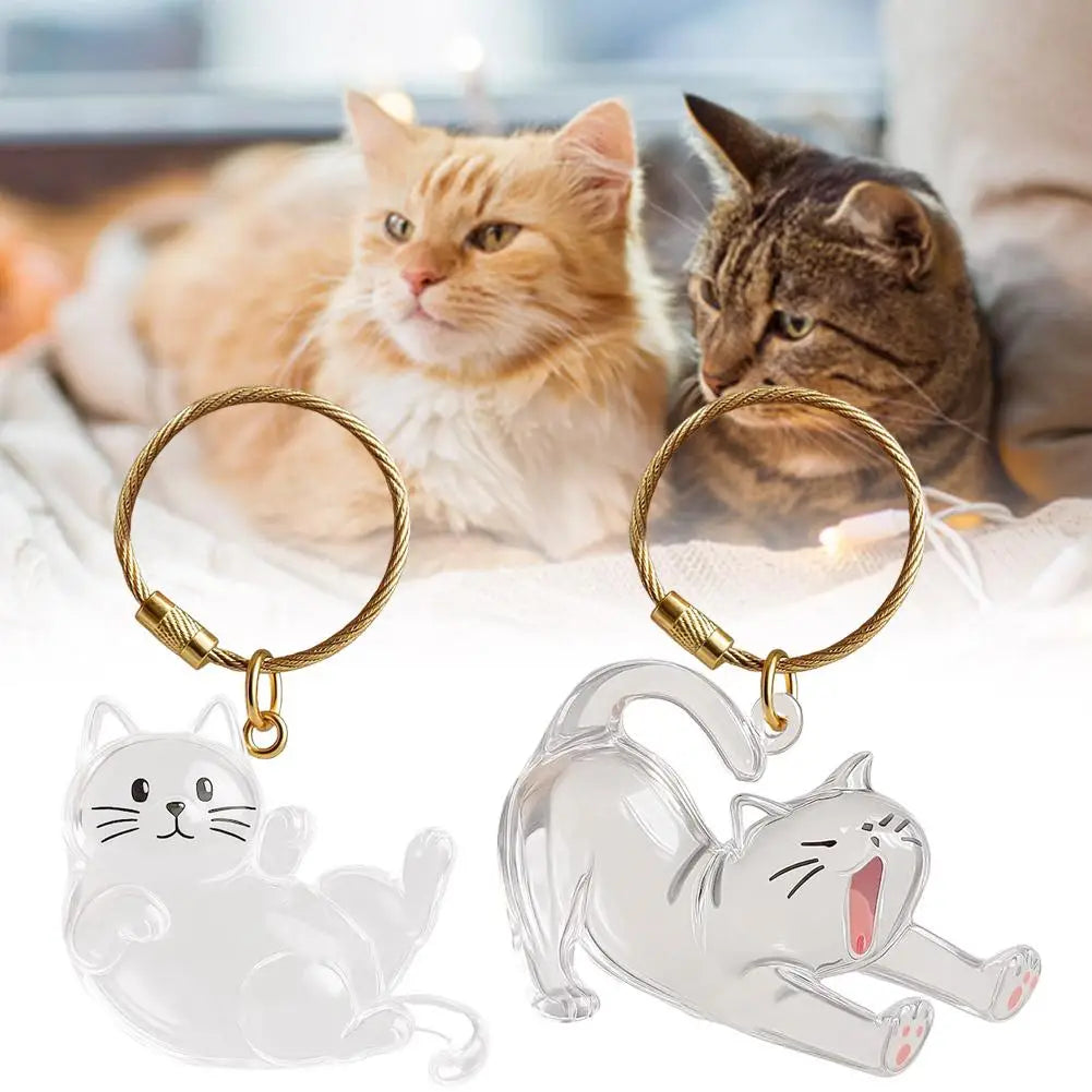 Pet Hair Keepsake Box Memorial Bottle for Cat Fur Storage Container for DIY Decoration Gift for Pet Lovers Home Display Zpaxo
