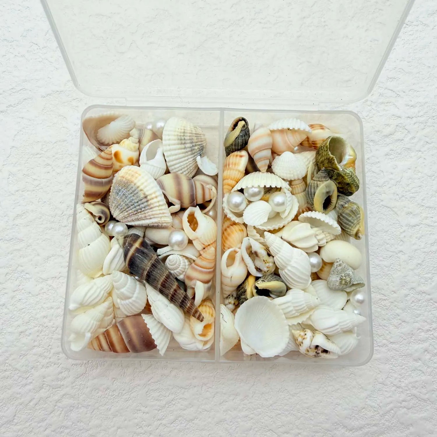 Natural Mixed Sea Shells & Pearl Charms – DIY Craft & Decor Shell Craft Charms Zpaxo