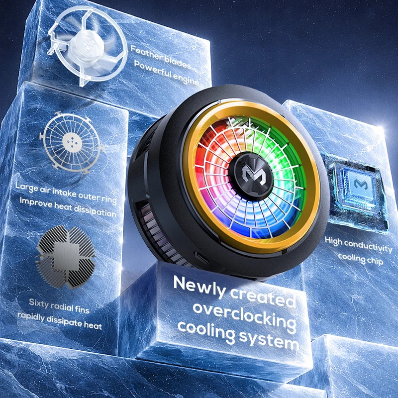 Memo Fast Semiconductor Refrigerator Powerful Cooling Digital Display Zpaxo