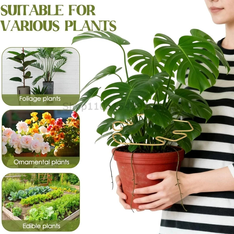 1-4 PCS Plant Fixing Clamp Flexible Plant Stem Golden Support Clips Adjustable Garden Fixator for Hydroponic & Indoor Plants Zpaxo