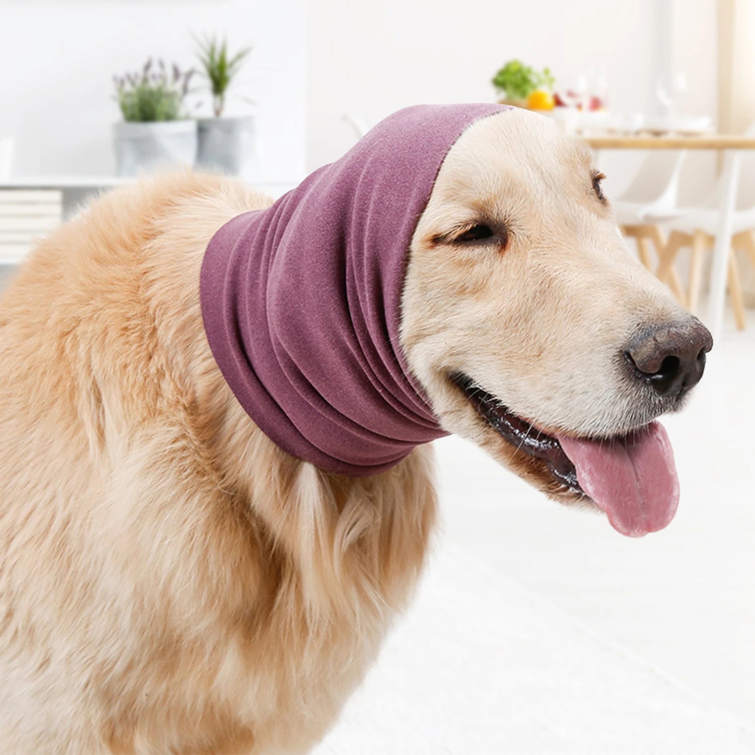 Pet Earmuffs – Noise Reducing Ear Protectors for Cats & Dogs