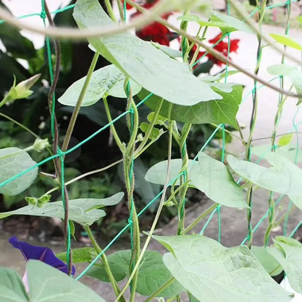 Plant Trellis Netting for Climbing Plants | Cucumber Support Net Plant Trellis Netting Zpaxo