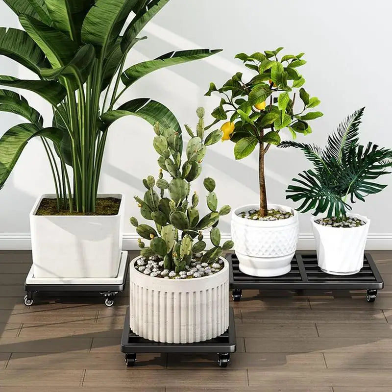 Universal Flower Pot Wheels Square Metal Tray Heavy Duty Flower Pot Rack Plant Movable Rolling Potted Plant Stand With Rollers Zpaxo