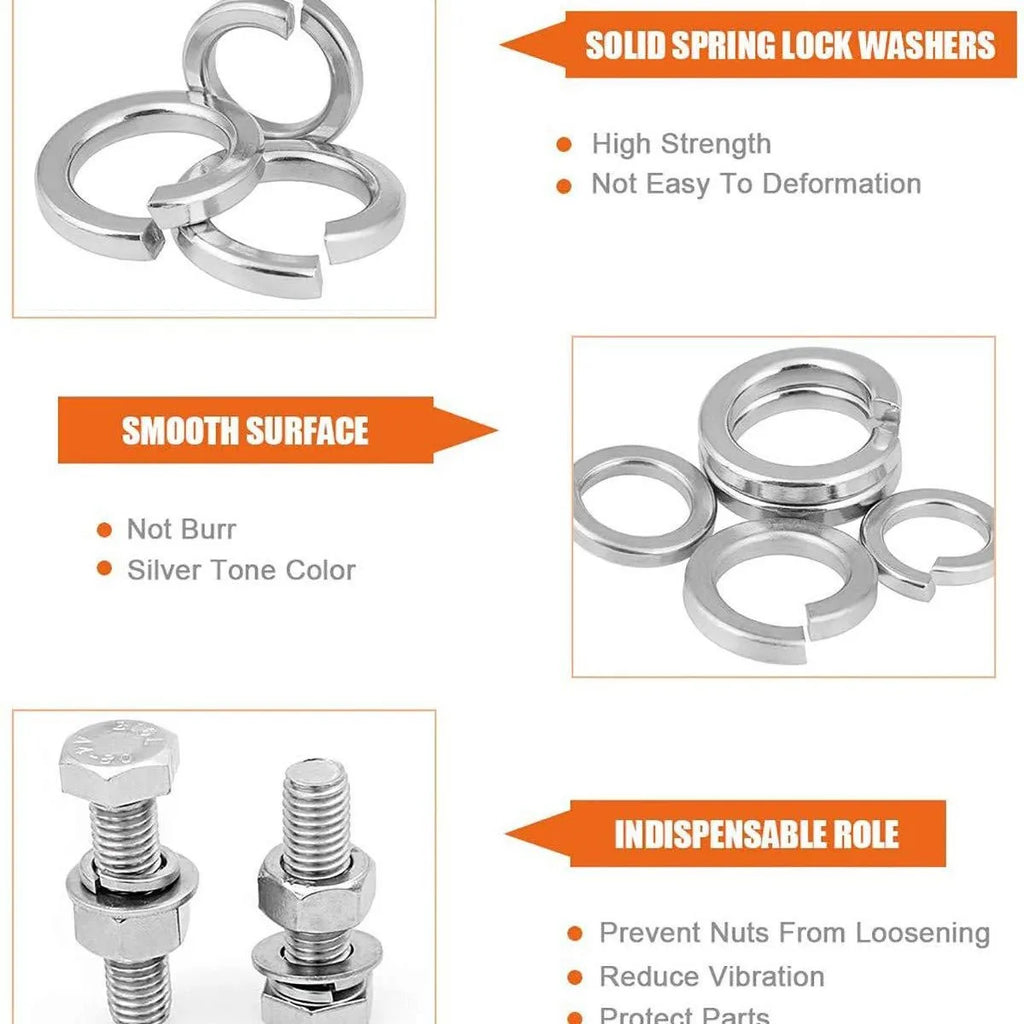 Boxed 304 Stainless Steel Spring Washer Assortment Lock M2-M12