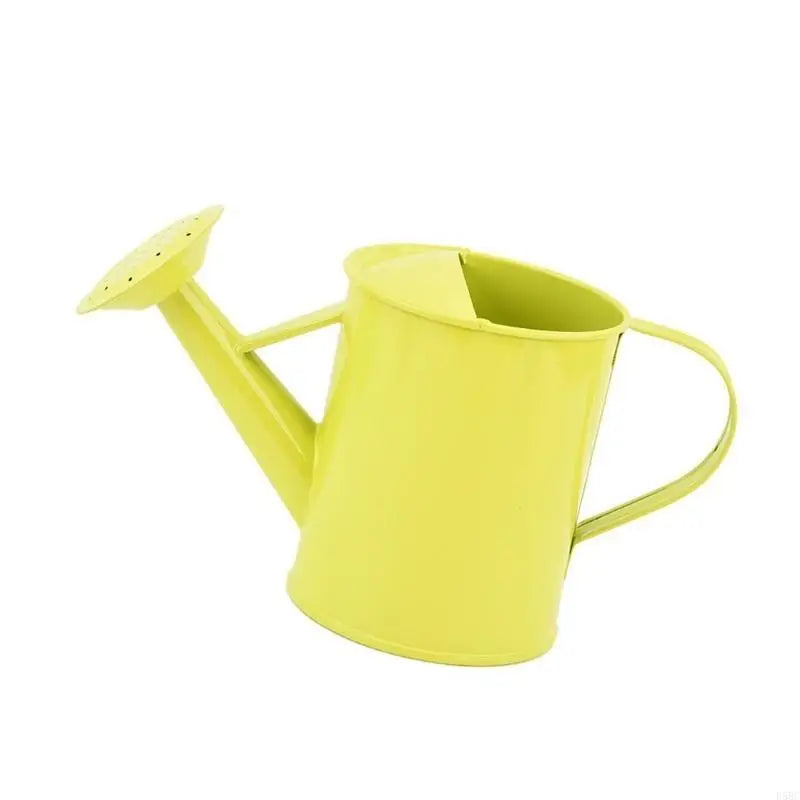 Iron Watering Can Easy Grip Handle Design Precise Indoor Outdoor