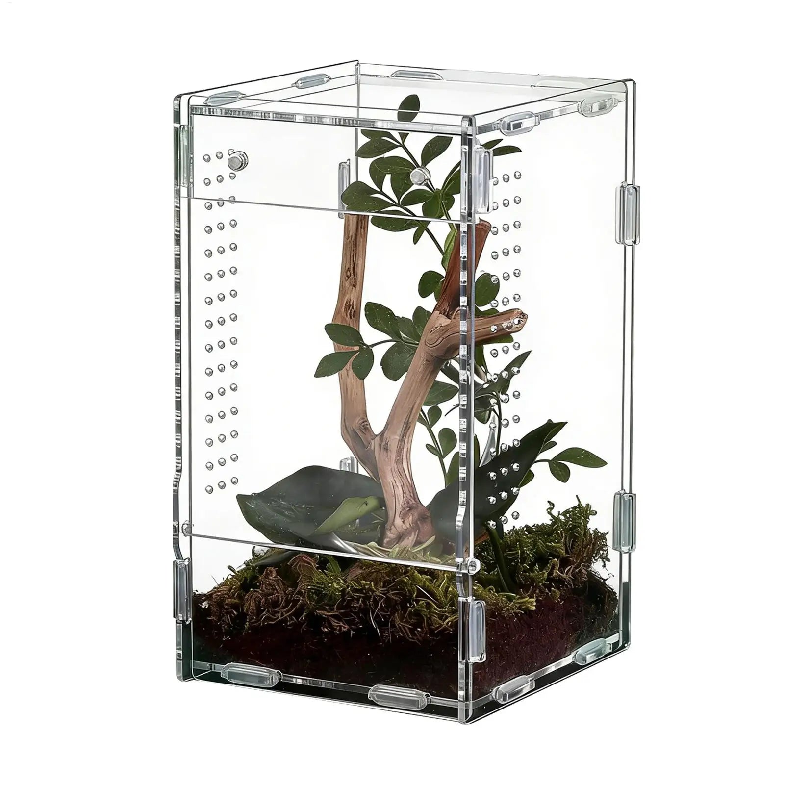 Reptile Enclosure Front Opening Escape Proof Habitat Acrylic Jumping