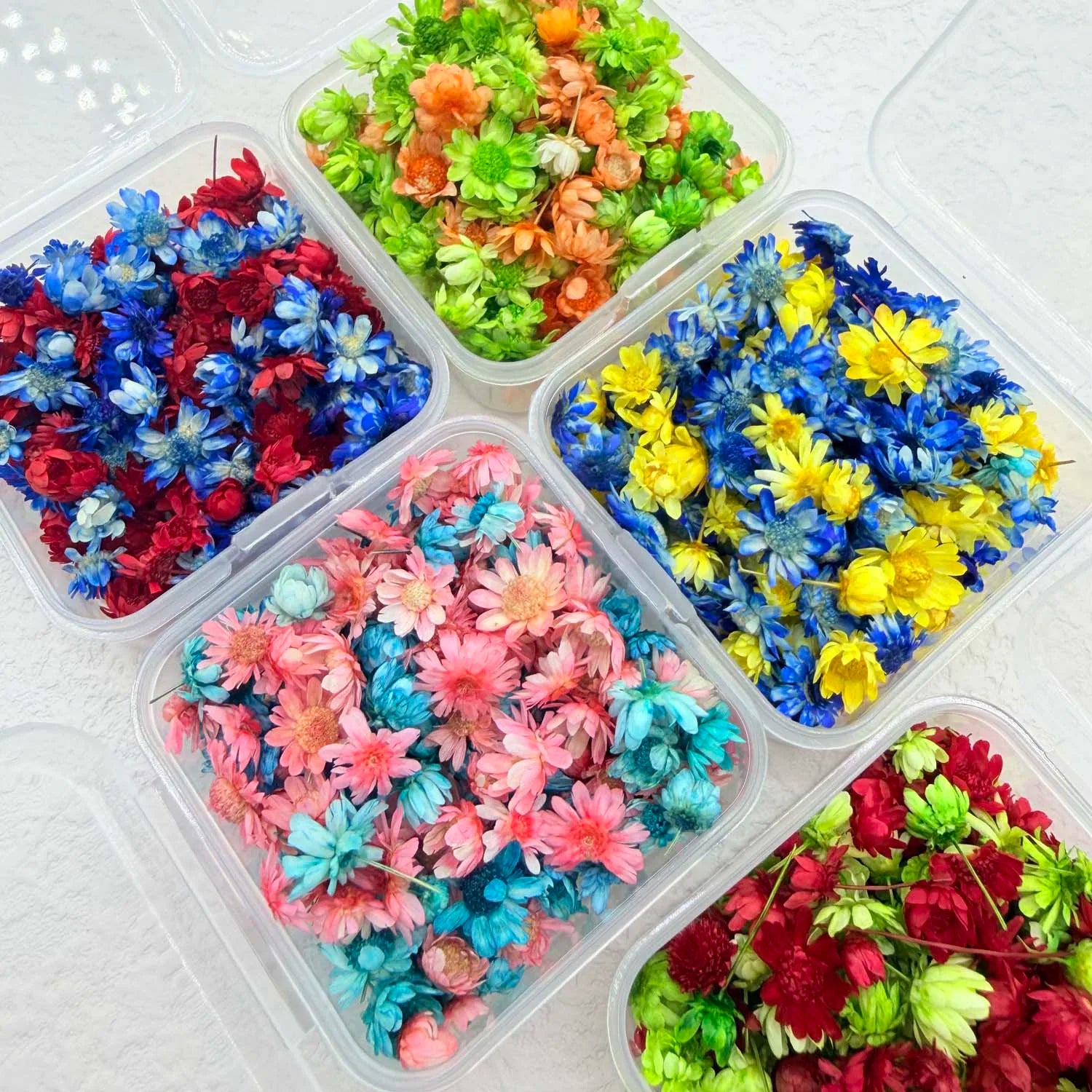 1BOX DIY Flowers Handmade Craft For Nail Art Resin Mold Fillings Candle making Jewelry Resin Phone Case Craft Decoration Zpaxo