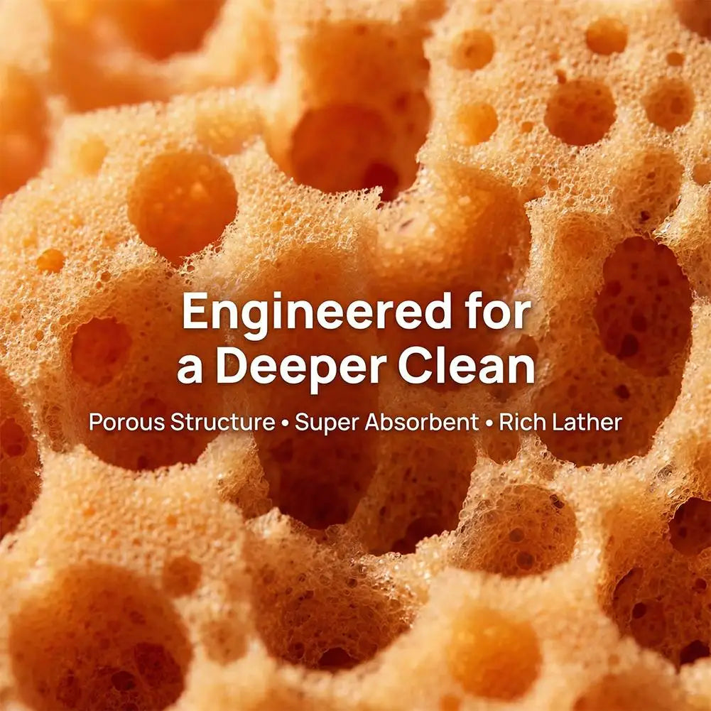 Large Honeycomb Car Washing Sponge – Detailing & Cleaning Tool Car Washing Sponge Zpaxo