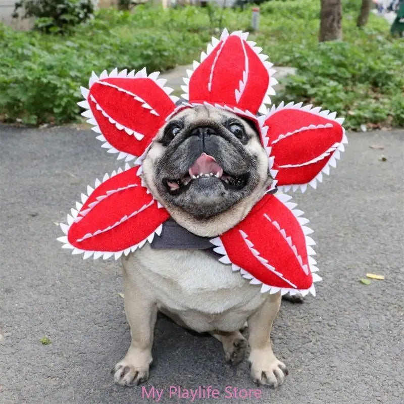 Funny Cat Hat Demogorgon Scary Flower Costume Birthday Pet Accessories Supplies Pet Dogs Headwear Adjustable Sticker Zpaxo