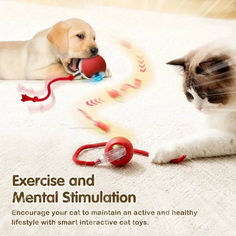 Interactive Toys for Cats Rechargeable Cat Exercise Wheel Interactive Cat Motion Toy Cat Pet Interaction Automatic Rolling Ball Zpaxo