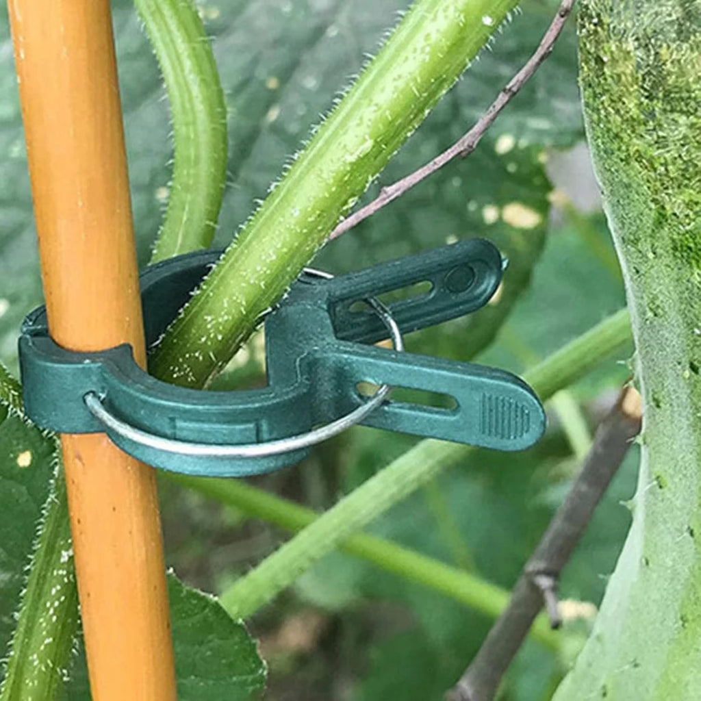 10 Plant Fixed Clips Reusable Garden Greenhouse Bracket Plants Vine