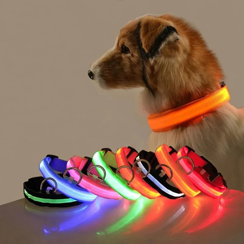 Nylon LED Night Safety Flashing Glow In The Dark Dog Leash Dogs Luminous Fluorescent Pet Dog Collar Zpaxo