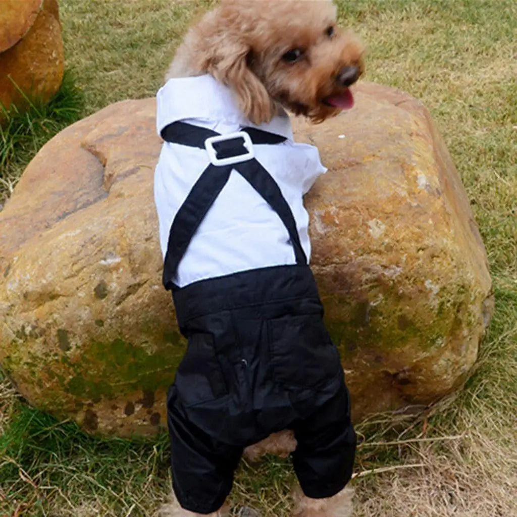Dog Costumes Shirt Suit Tuxedo Wedding Party Clothes Bow Tie Pet Coat Zpaxo