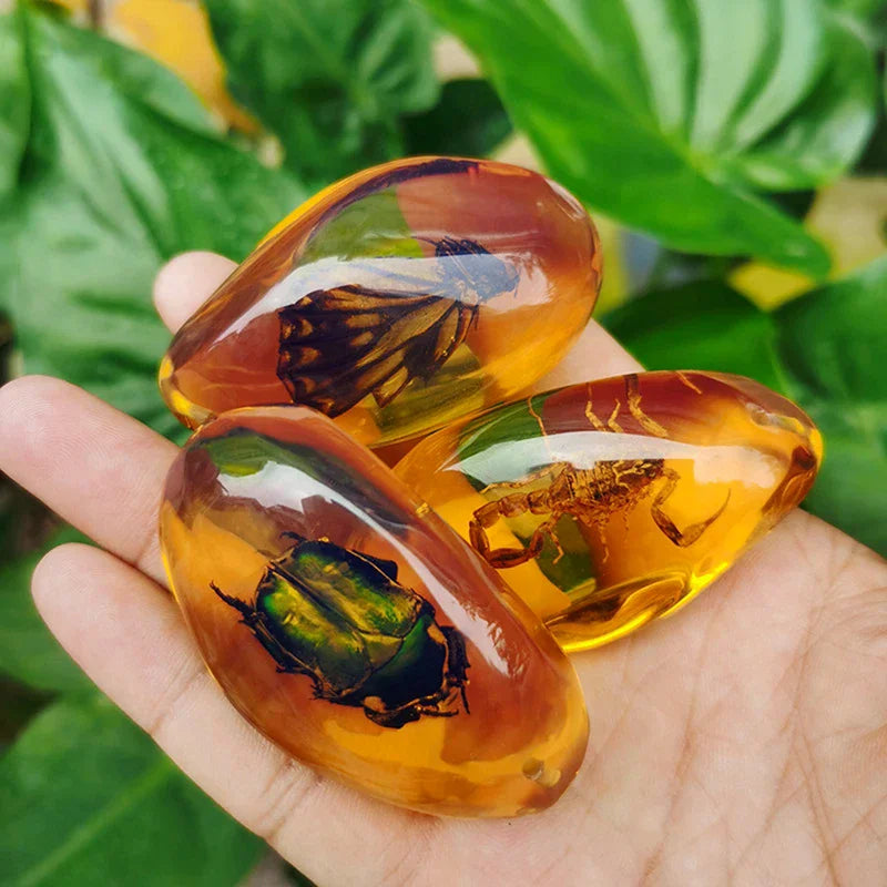 Mineral Stones Home Decor Insects Amber Gemstone DIY Hand Crafts Gift And Insects Amber Gemstone Scorpion Natural 1PC Zpaxo