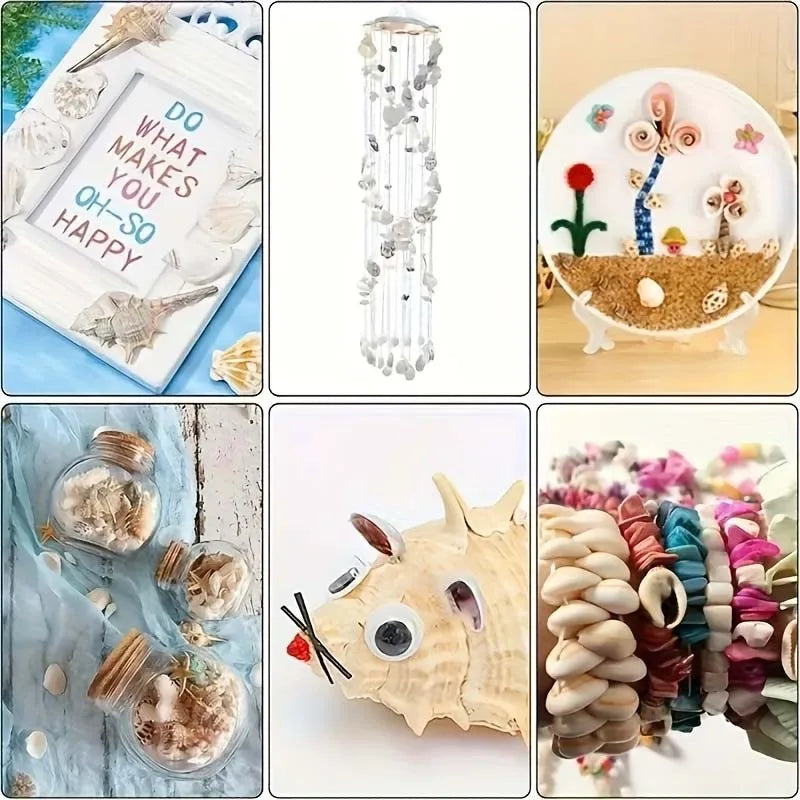 Spiral Seashells Box – Beach Decor, Vase Filler & Crafts Decorative Seashells Zpaxo