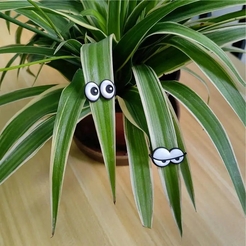 6pcs Plant Magnets Eyes For Potted Plants, Funny Plant Safe Magnet Pins House Plant Accessories, For Plant Lovers Zpaxo