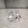 APet Hair Memorial Keepsake Box Bottle Transparent Storage Container
