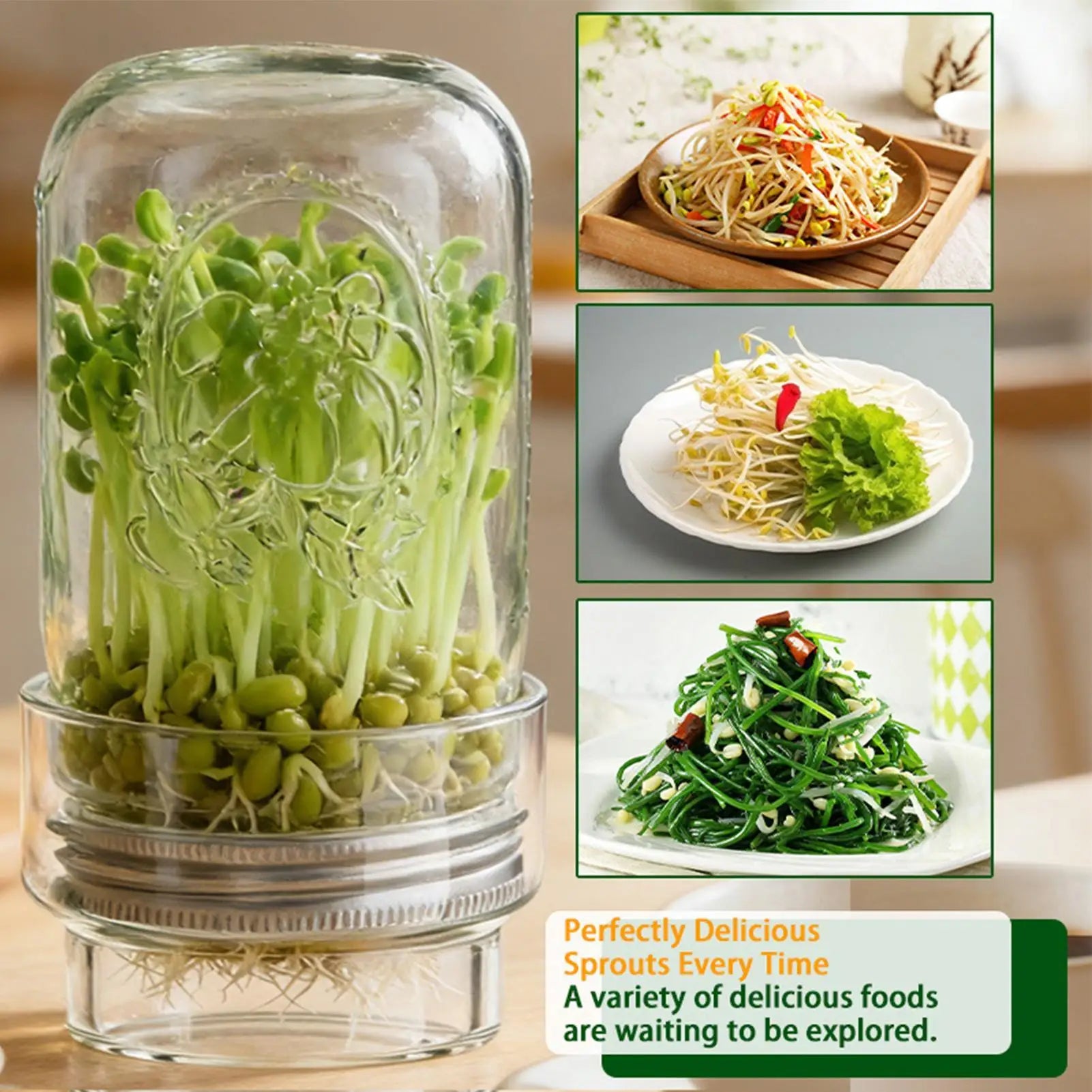 Sprouting Jar Kit Health Vegetables Grow Broccoli Sprouts Growing Kit For Gardeners Beginners Homesteaders Kitchen Countertop Zpaxo