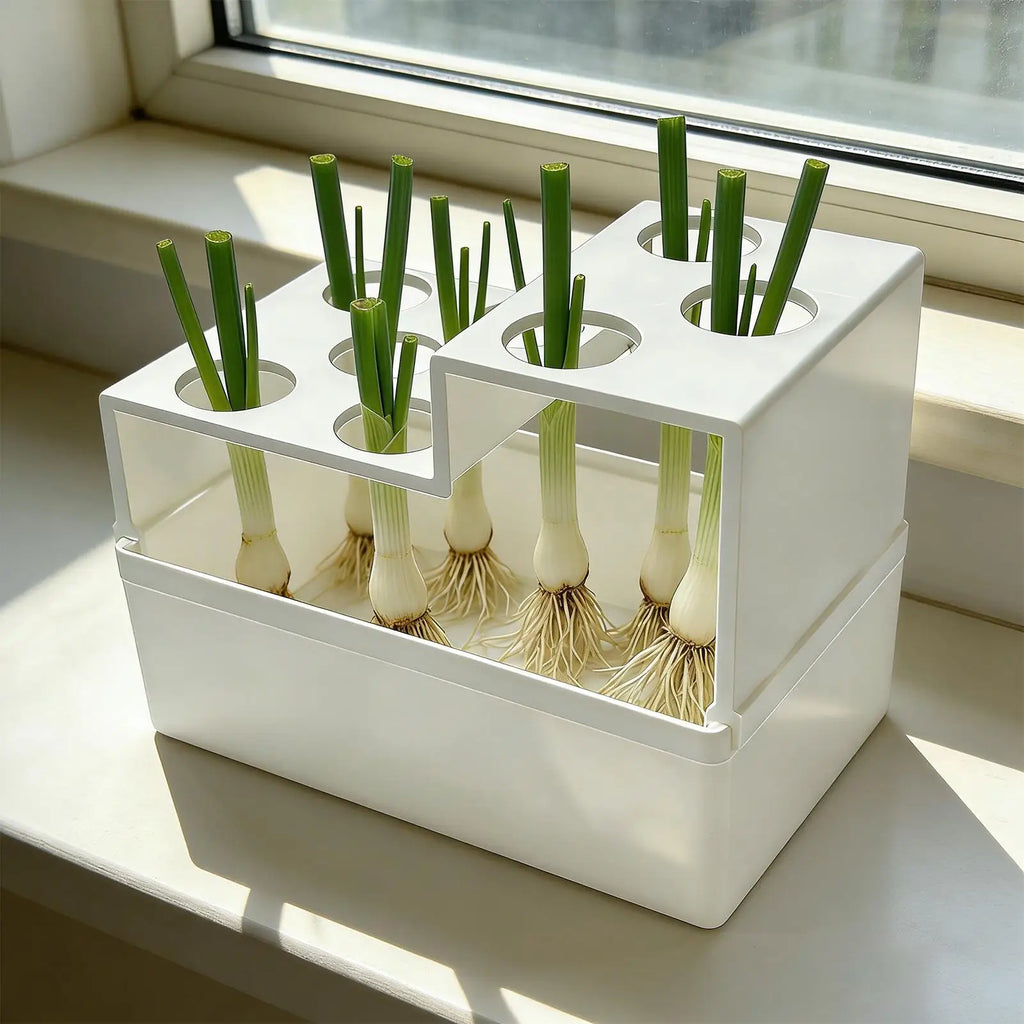 Scallion Regrower Hydroponic Sprouting Reusable Leakproof Planter