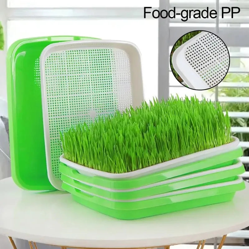 Soilless Planting Seedling Tray,Seed Sprouter Germination Tray for Growing, Bean Sprouts, Cat Grass, Wheat Grass, Mung Beans Zpaxo