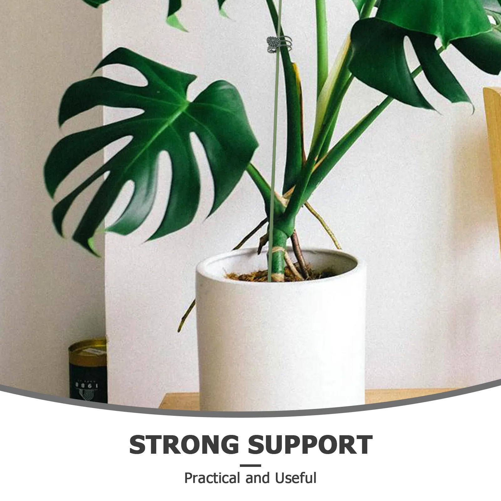 10Pcs Plant Support Stakes Flexible Green Bendable Orchid Clips Reusable Flower Sticks Indoor Outdoor Plant Support Clamps Zpaxo
