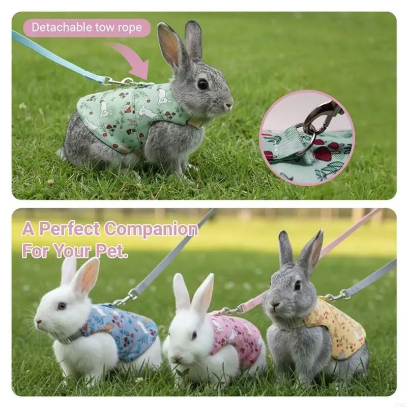 Regulable Rabbit Harnesses Leashes Breathable Rabbits Themed Pet Harnesses Zpaxo
