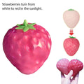 NEW Stress Relief Squeeze Toy for Adults, Color-Changing Fruit Ball Strawberry & Mango Slow Rebound De-Stress Toy, Creative Gift Zpaxo C