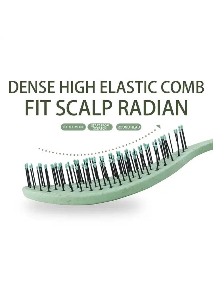 Hair Massage Comb Bristle Nylon Hairbrush Curly Detangle Hair Brush for Salon Hairdressing Tools Zpaxo
