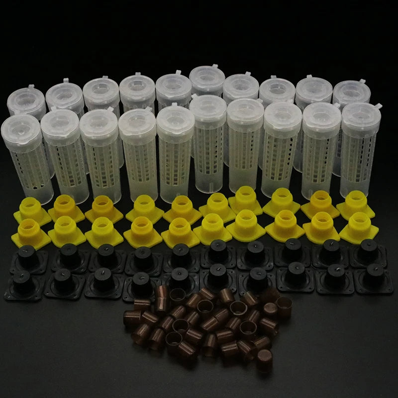 Queen Bee Rearing System Plastic Cell Cage Protection Cover Base Box