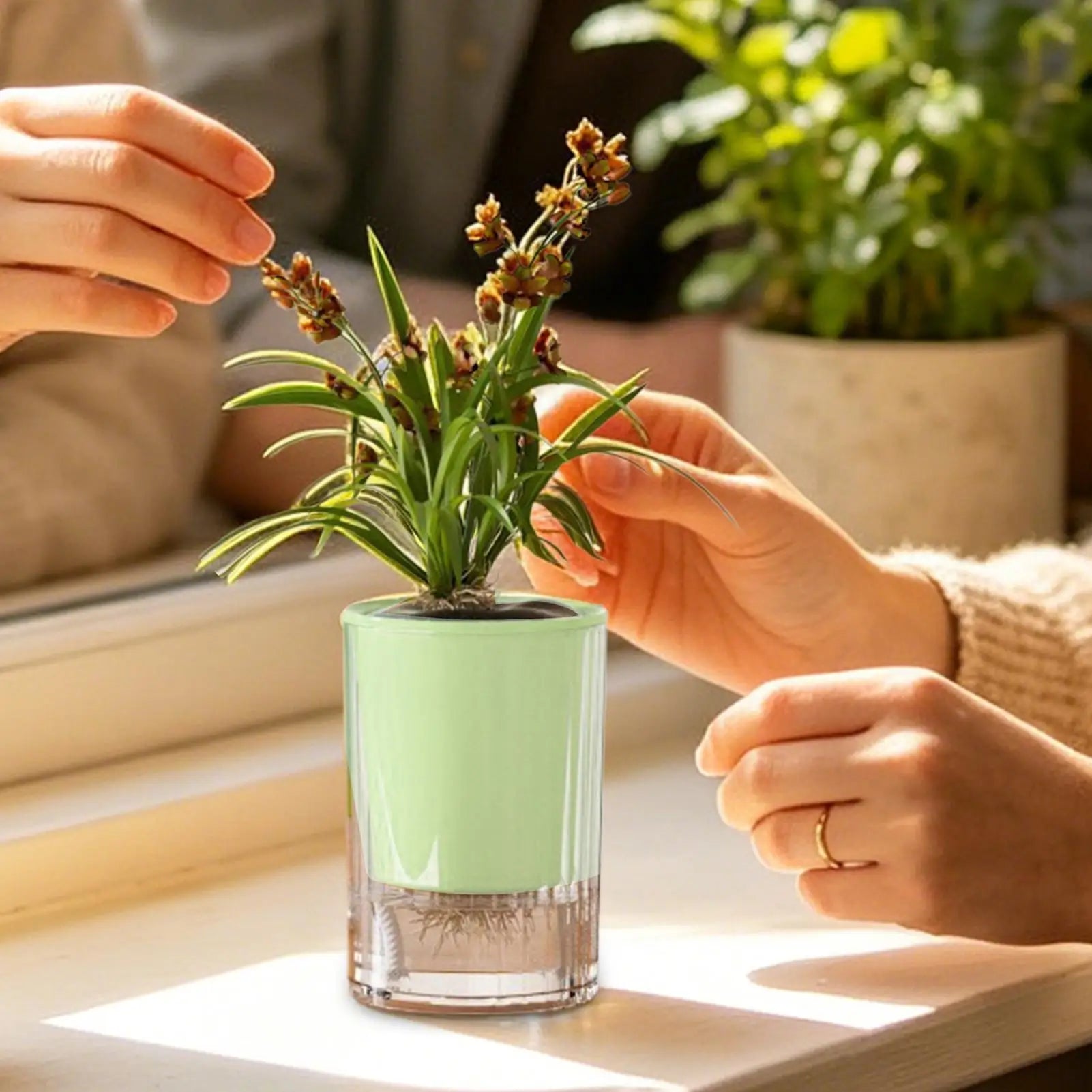 Self Watering Pots Double-layer Flower Container Clear Base Round